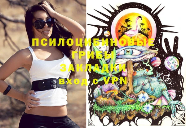 крисы Алексин